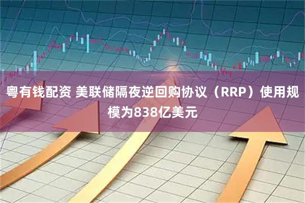 粤有钱配资 美联储隔夜逆回购协议（RRP）使用规模为838亿美元