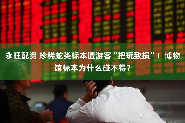 永旺配资 珍稀蛇类标本遭游客“把玩致损”！博物馆标本为什么碰不得？